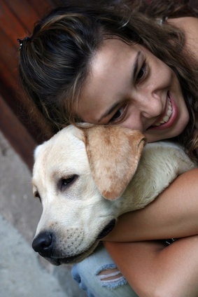 best age to spay a female labrador